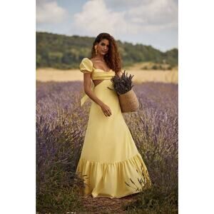 Alamour The Label Kasia Maxi Dress Size XXS Yellow Poplin Cotton A-Line $320